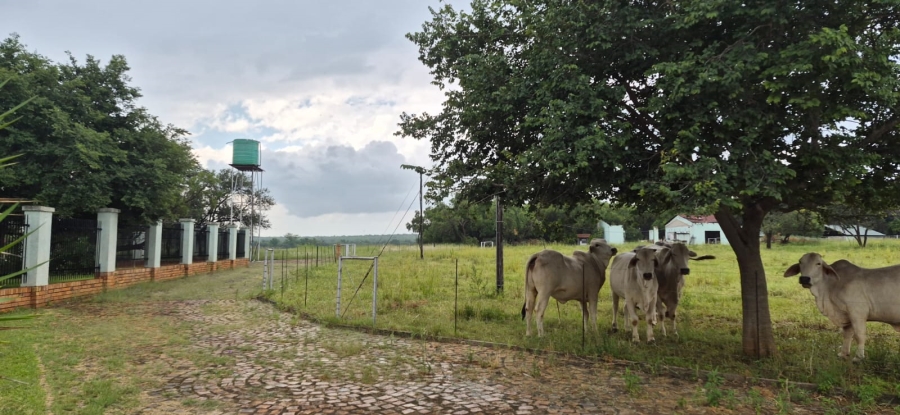 5 Bedroom Property for Sale in Swartruggens North West